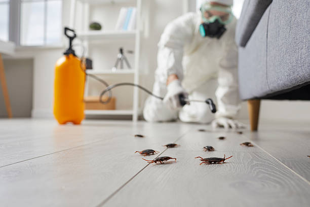 Commercial Kitchen Cockroach Control in DeFuniak Springs